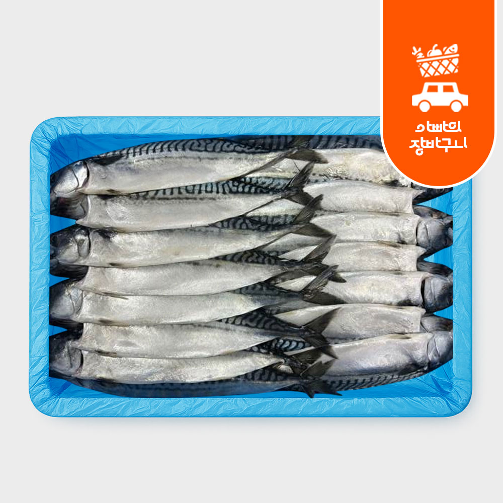 노르웨이 자반고등어 8손 10손 왕특 특대 업소용 간고등어 가정용 생선 구이 도매