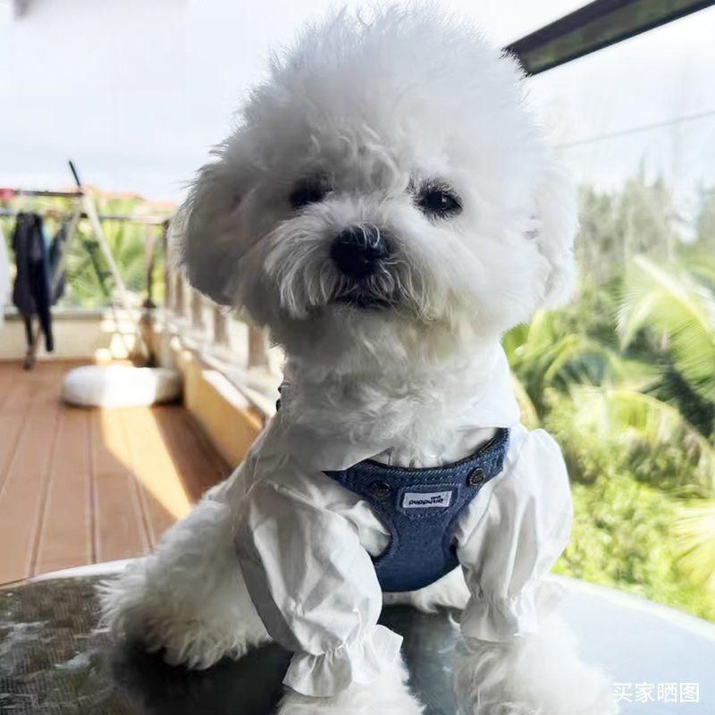 강아지 하네스 옷 애완견 산책 조끼 견인 안전 용품 - 상세 이미지 3