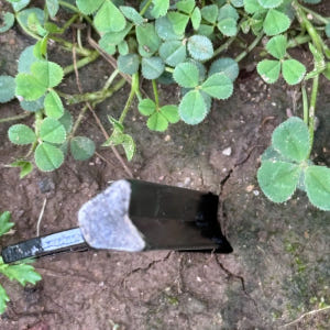 미라벨가든 단조팩 캠핑 타프 텐트팩 초고강도 디자인팩 블랙 20cm 운동러 솔직 후기 | 실사용 리뷰 - 상품 이미지 2