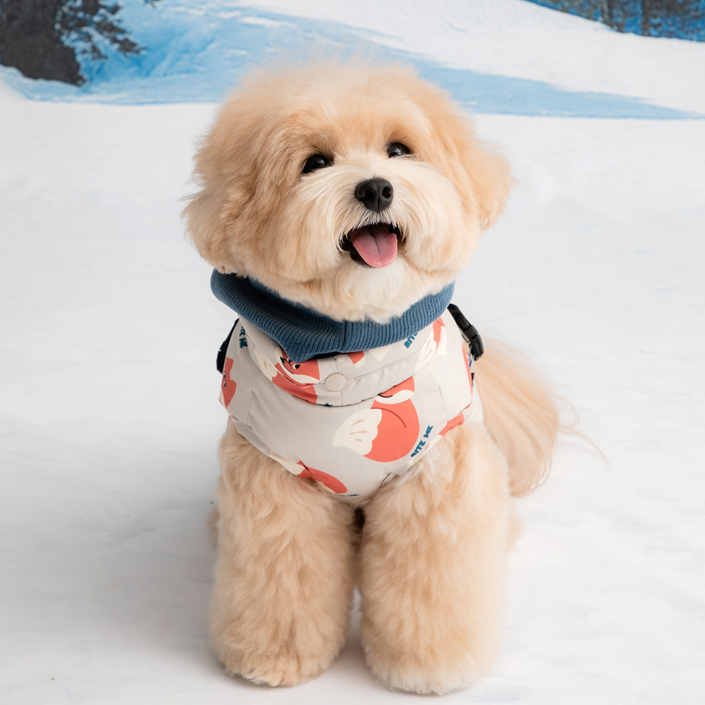 [세트할인] 바잇미 2025 더블히트 소형견 + 웜허그 소형견 (머스타드/민트)