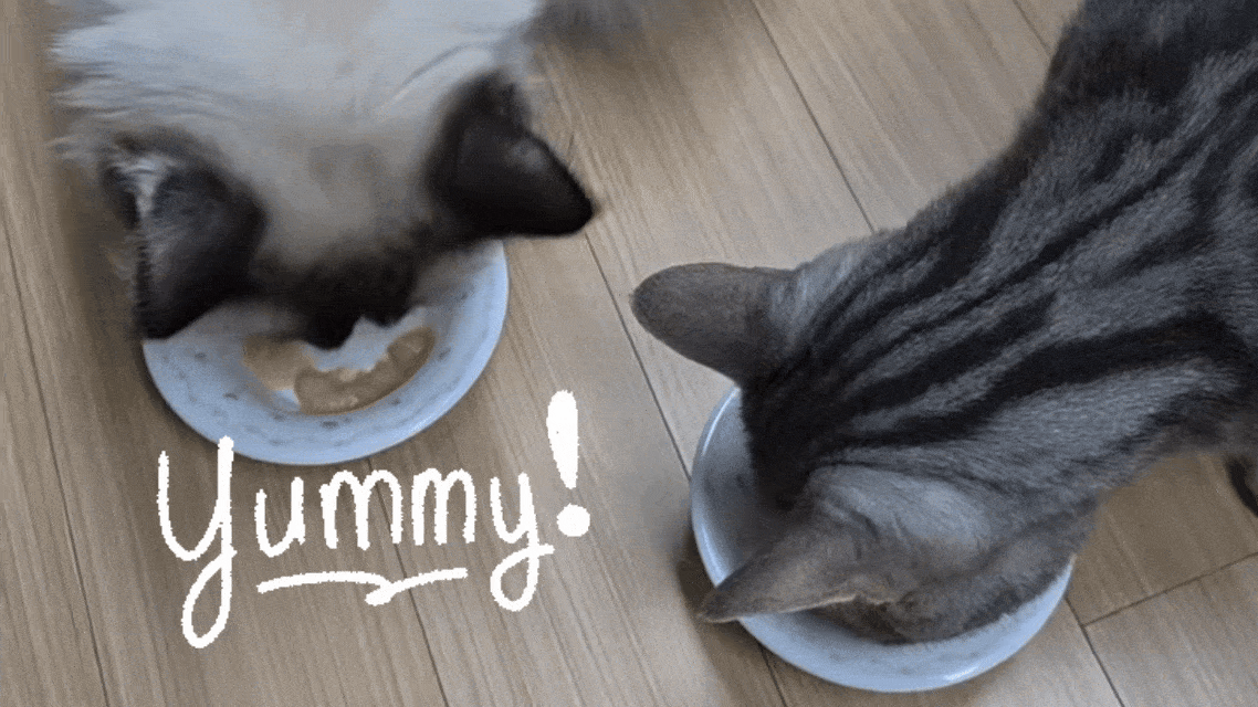 [최신생산] 이나바 챠오츄르 고양이 츄르간식 가다랑어, 56g, 20개