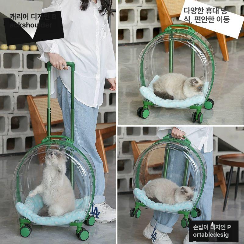 고양이 투명 캐리어 강아지 고양이 바퀴 백팩 가방 애견 K20 대형 그린 캐리어 고양이 8kg 강아지 5kg - 상세 이미지 4