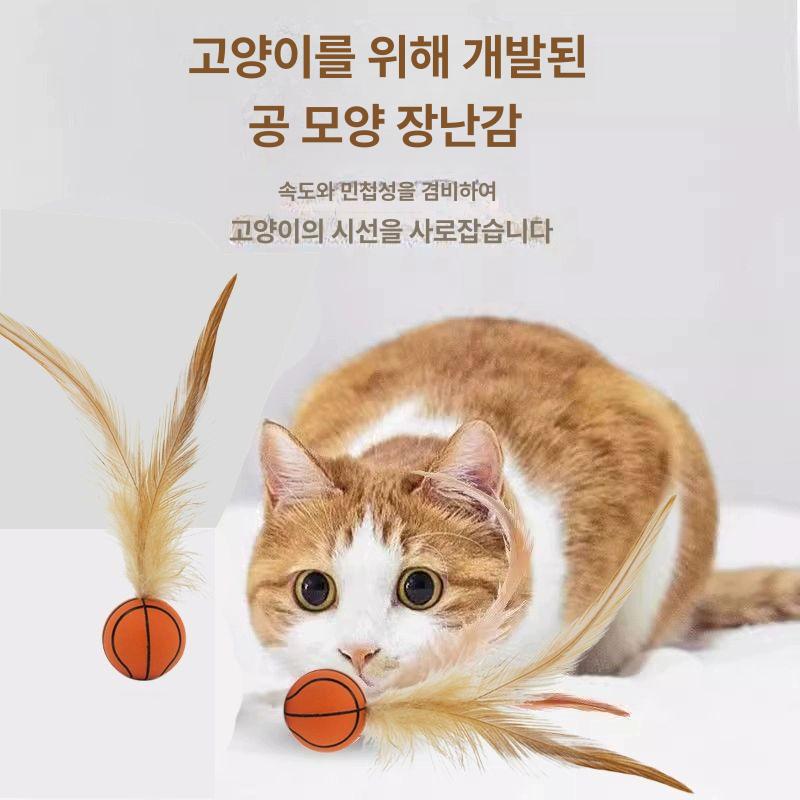 고양이 점프 공 용품 움직이는 오렌지 축구놀이 강아지 실내 대화형 반려묘장난감 삼미호 롤링 치킨 퍼 탄성 공 3개 A - 상세 이미지 4