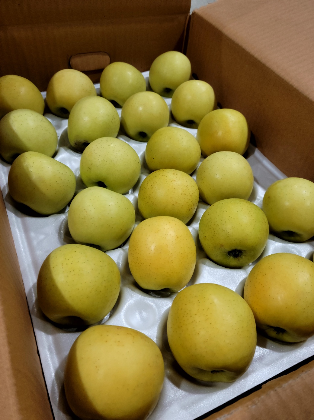 시나노 골드 중소과 사과 14Brix, 3kg, 1개 - 상세 이미지 5
