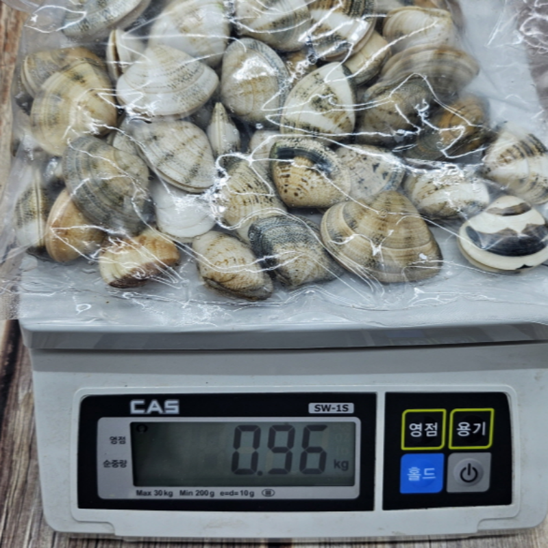 자연가득 깔끔한 국물맛의 끝판왕 연안 비단조개 1kg 30미내외 - 상세 이미지 4