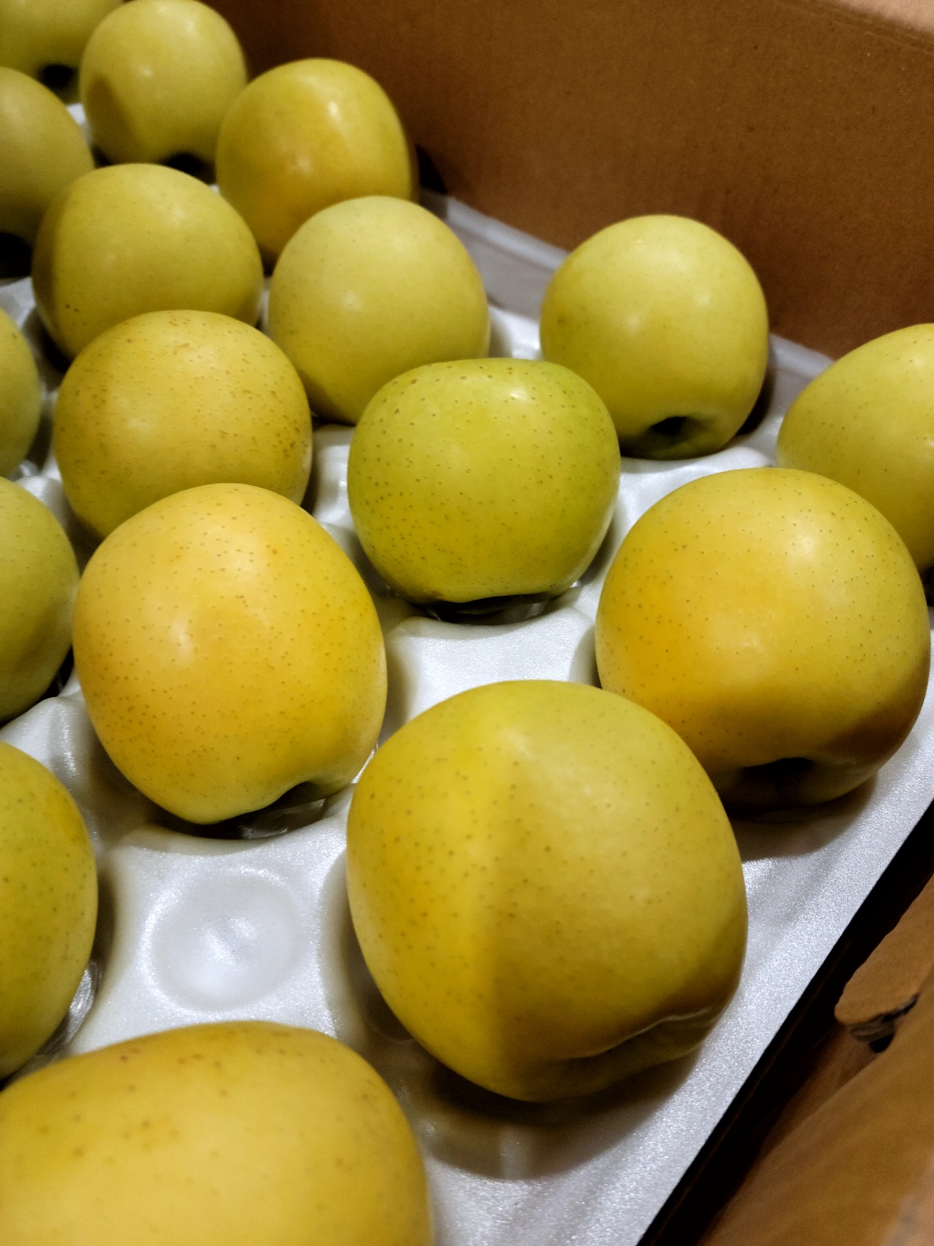 시나노 골드 소과 사과 15Brix, 3kg, 1개 - 상세 이미지 3