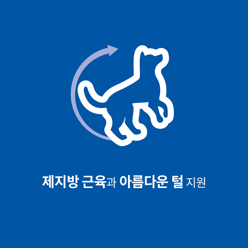 힐스 강아지사료 어덜트 연어 & 현미 6.3kg 이미지 2