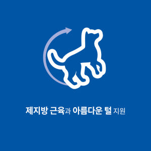 힐스 강아지사료 어덜트 연어 & 현미 6.3kg 솔직 후기 | 실제 사용자 리뷰 총정리 - 상품 이미지 2