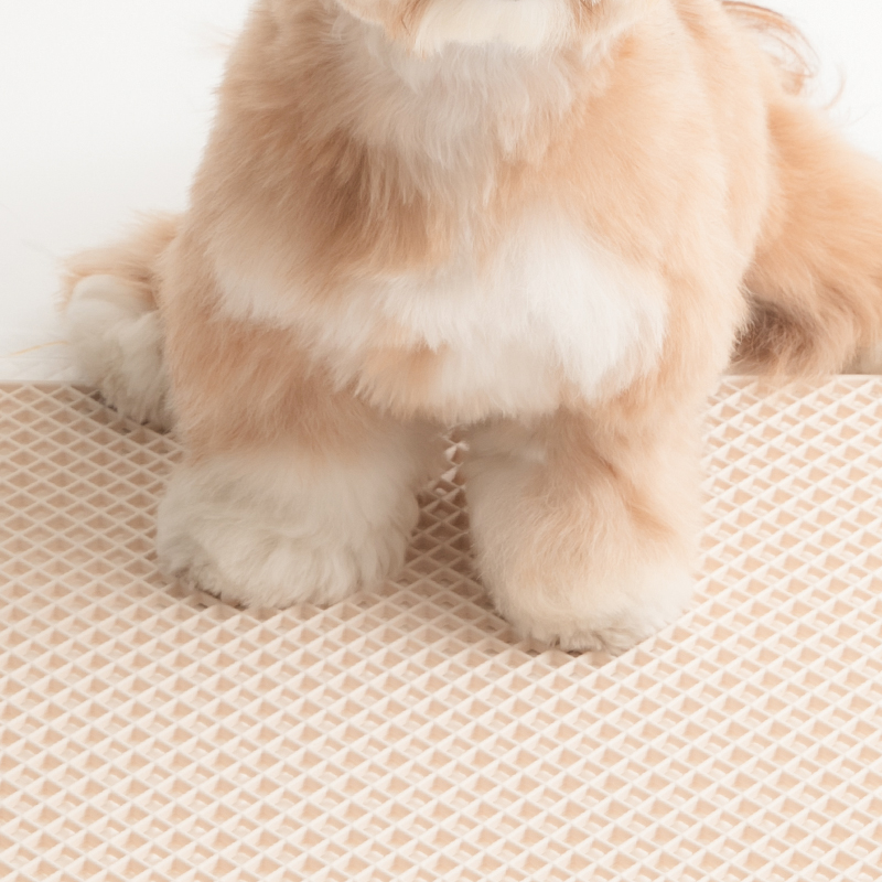 바잇미 강아지배변판 실리콘 강아지배변훈련 화장실 마킹 매트 애견