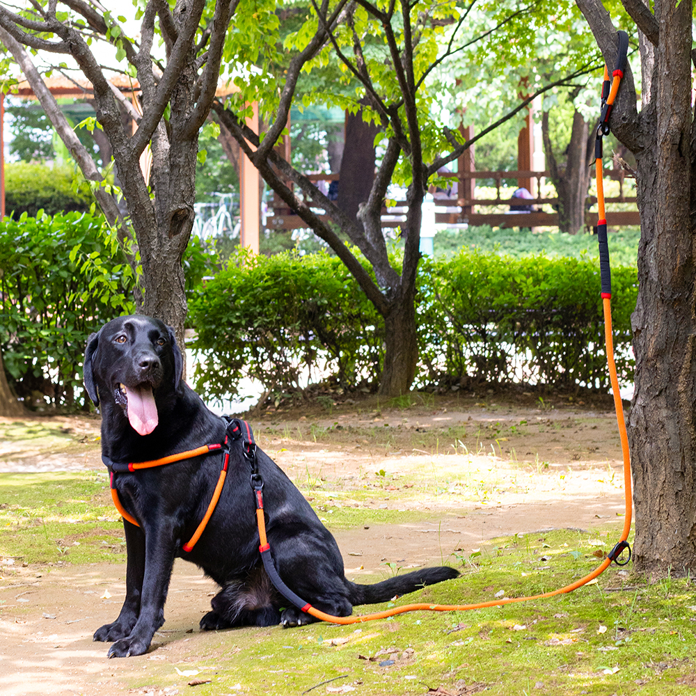 강아지 리드줄 핸즈프리 산책줄 대형견 리드줄 로프 리쉬 2.3m