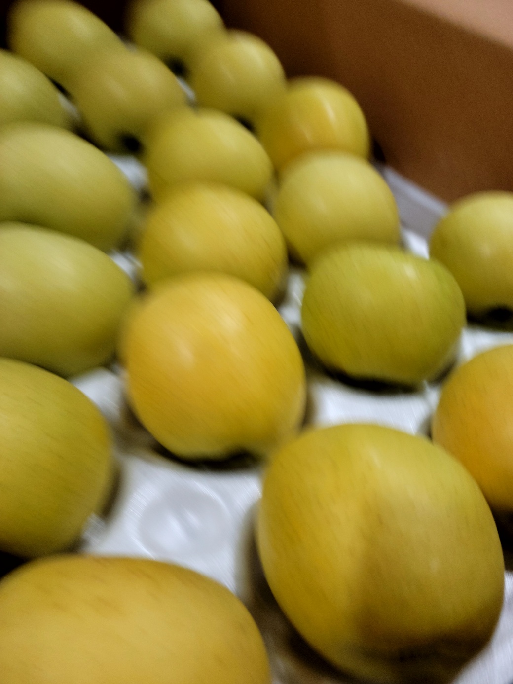 시나노 골드 중대과 사과 13Brix, 2kg, 1개 - 상세 이미지 5