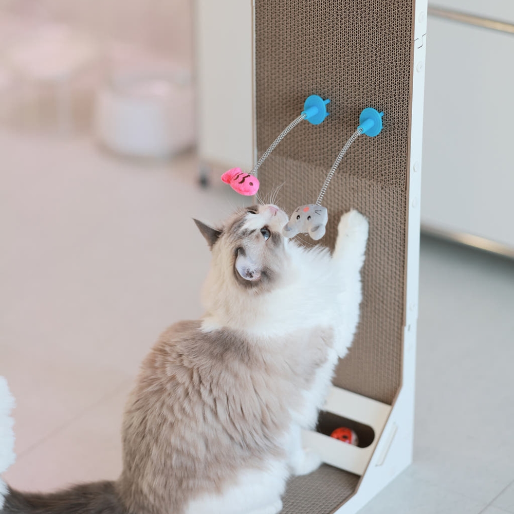 아토주 엘라인 고양이 수직 스크래쳐 83cm