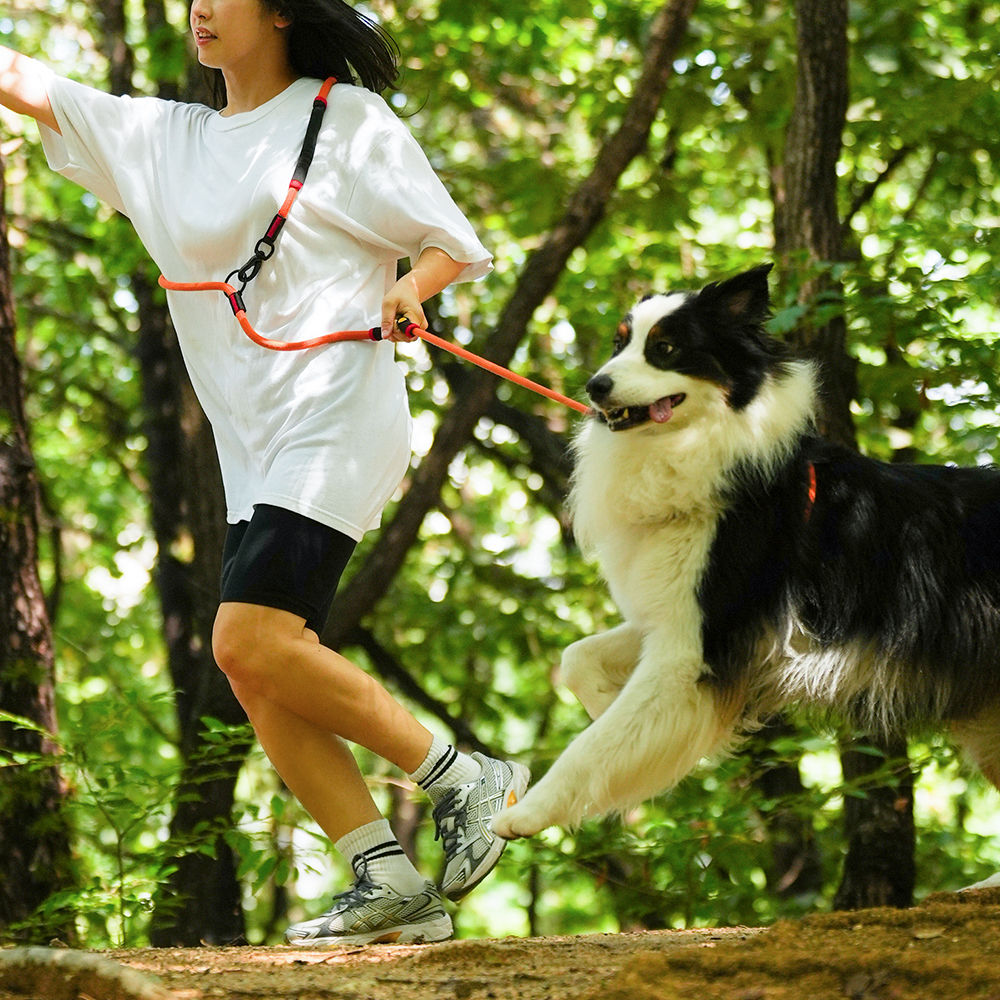 강아지 리드줄 핸즈프리 산책줄 대형견 리드줄 로프 리쉬 2.3m