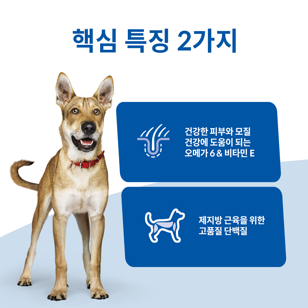 힐스 강아지사료 어덜트 연어 & 현미 6.3kg 이미지 3