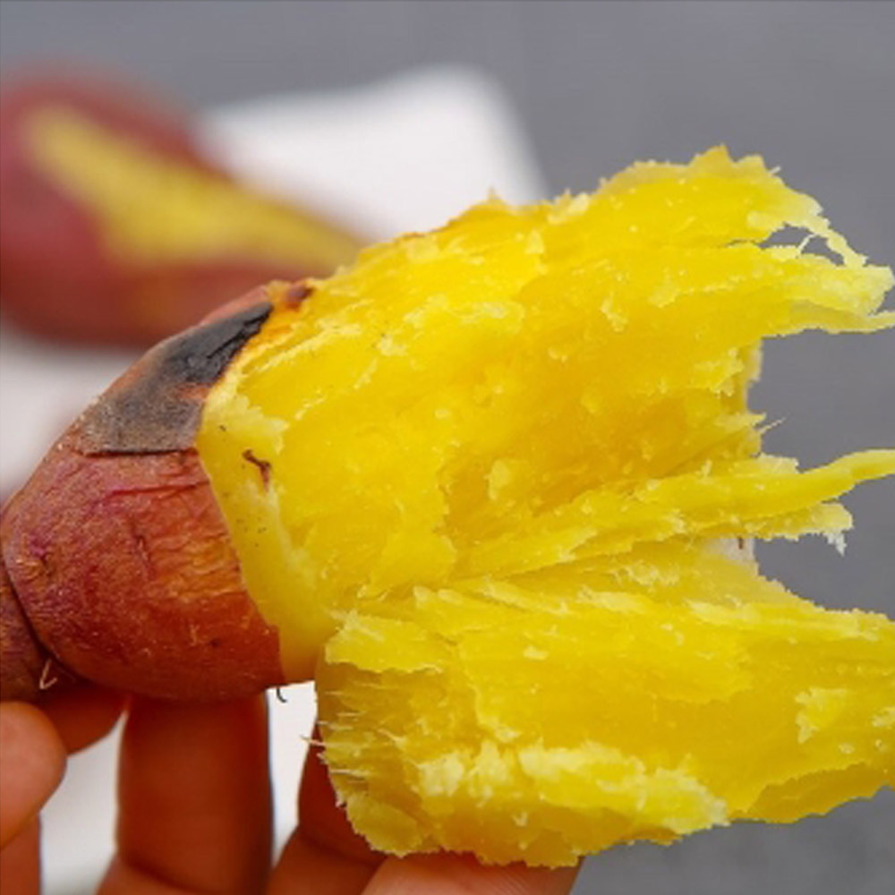 해남 꿀고구마 10kg 황토고구마 - 상품 이미지