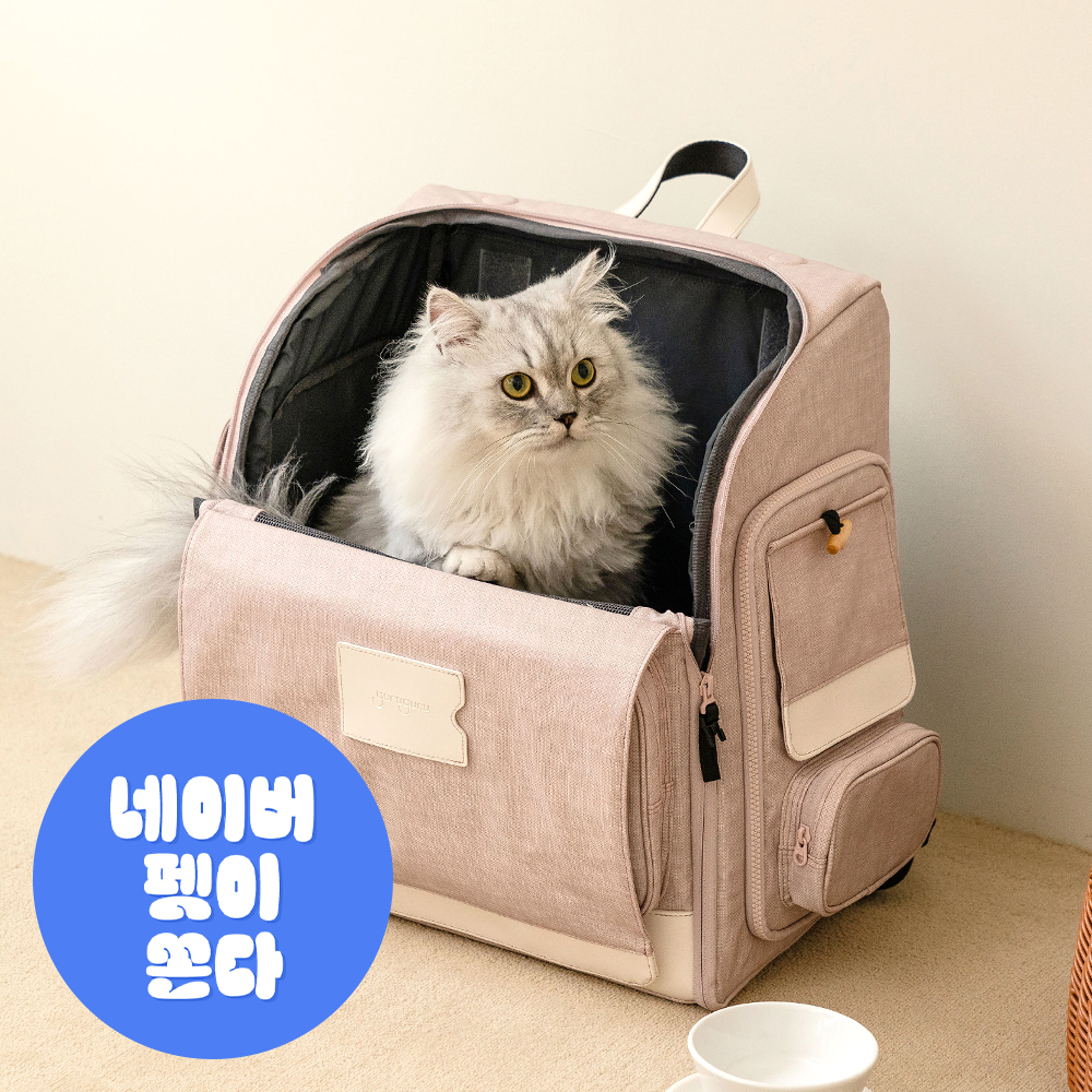 구루구루 위고백 강아지 고양이 이동가방 애견 반려견 소형견 펫 캣 백팩 기내 이동장 방수 - 상품 이미지
