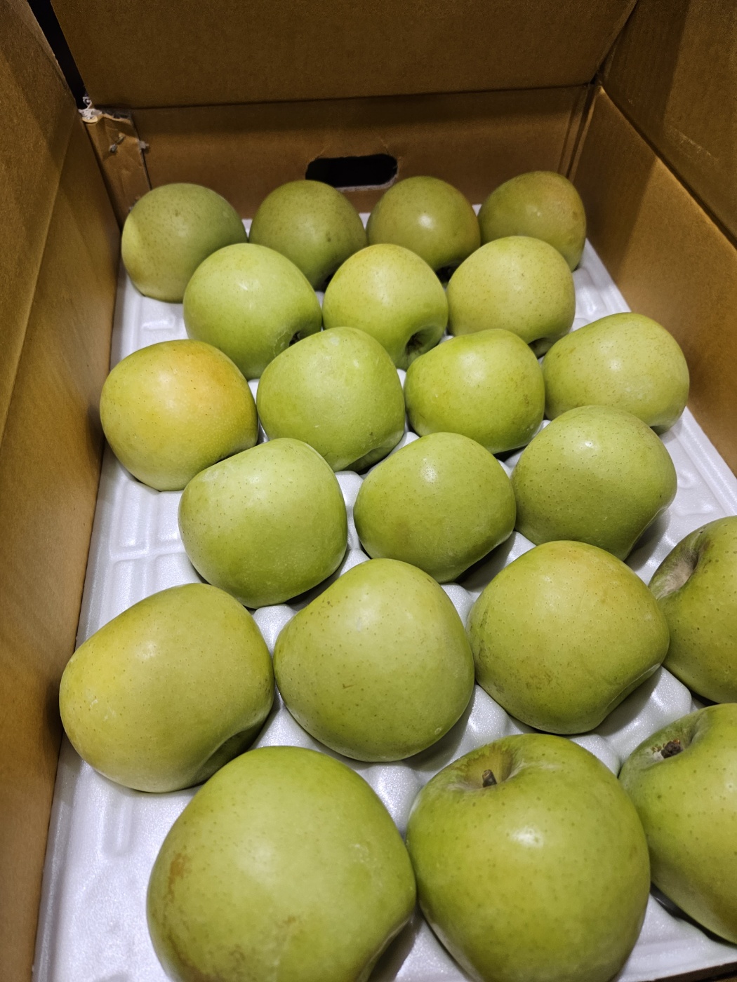 시나노 골드 중소과 사과 14Brix, 3kg, 1개 - 상세 이미지 4