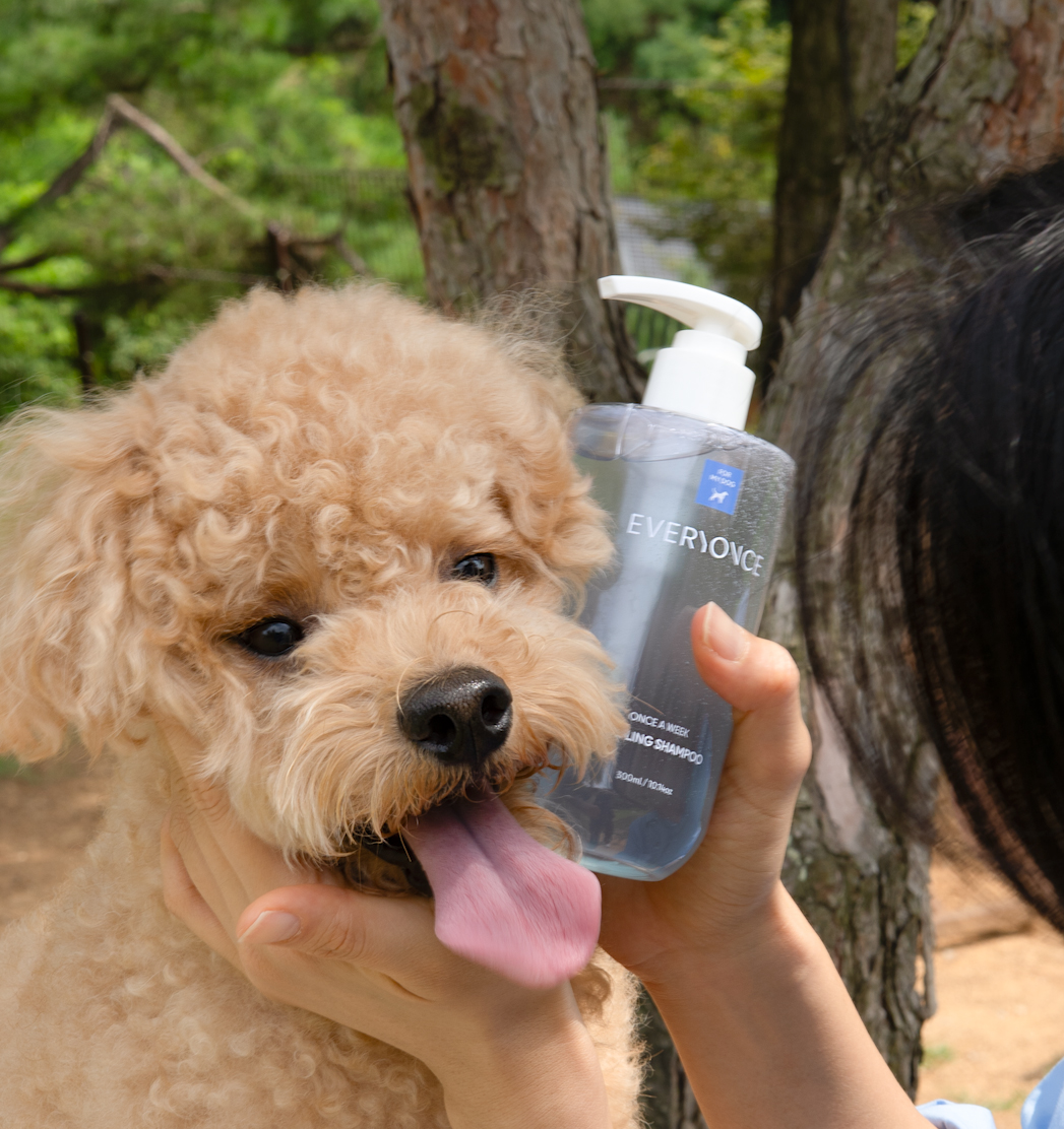 에브리원스 수분 쿨링 강아지샴푸 300ml - 상세 이미지 4