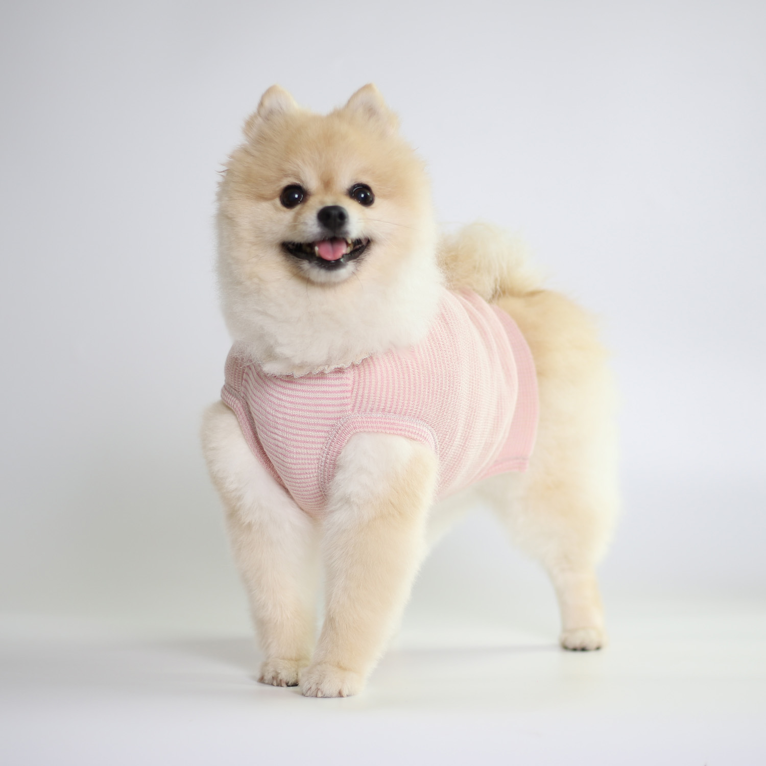 강아지옷 몽루 허밍 - 상품 이미지
