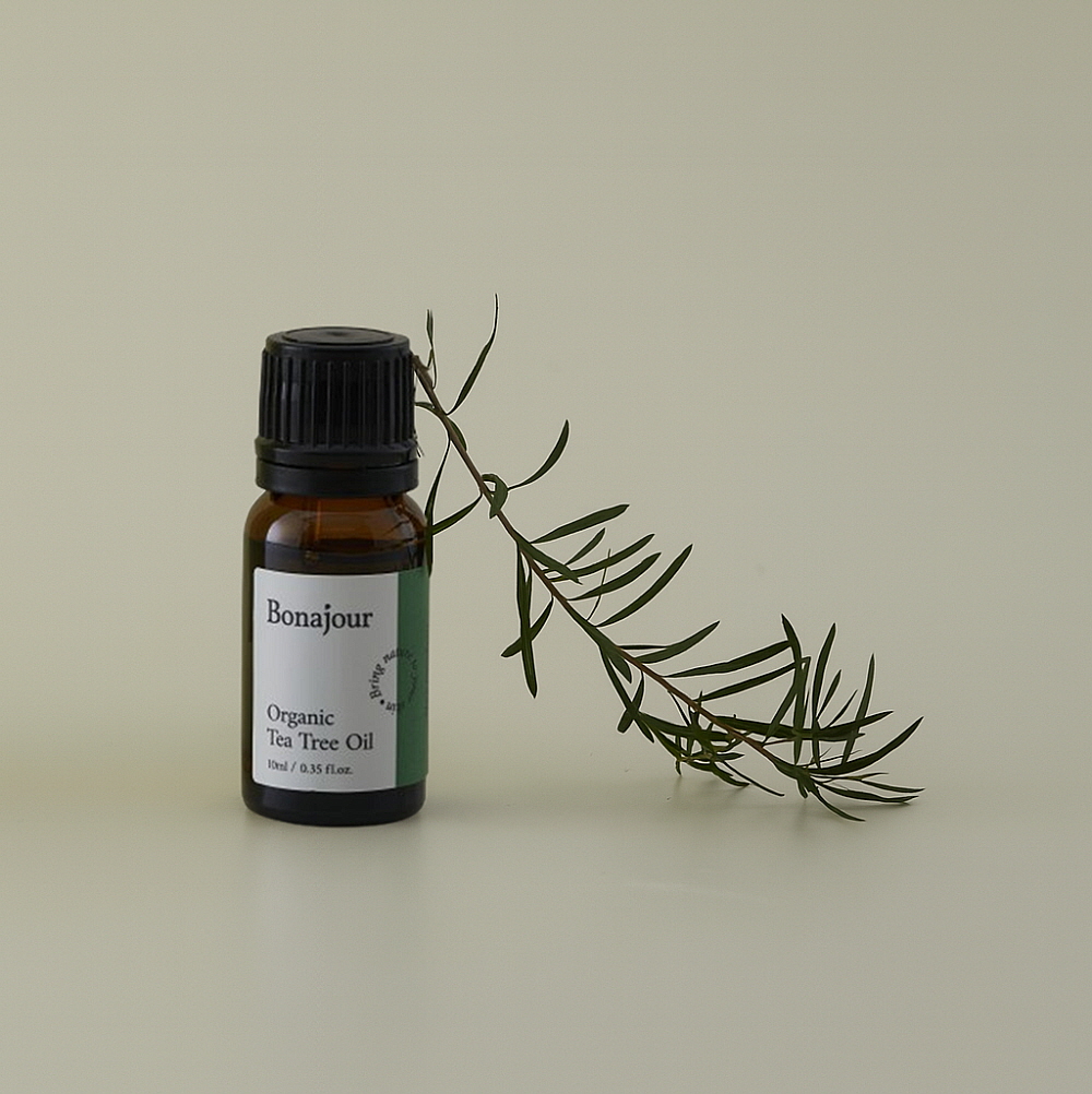 보나쥬르 비건 유기농 티트리 오일 10ml, 3개 - 상세 이미지 3