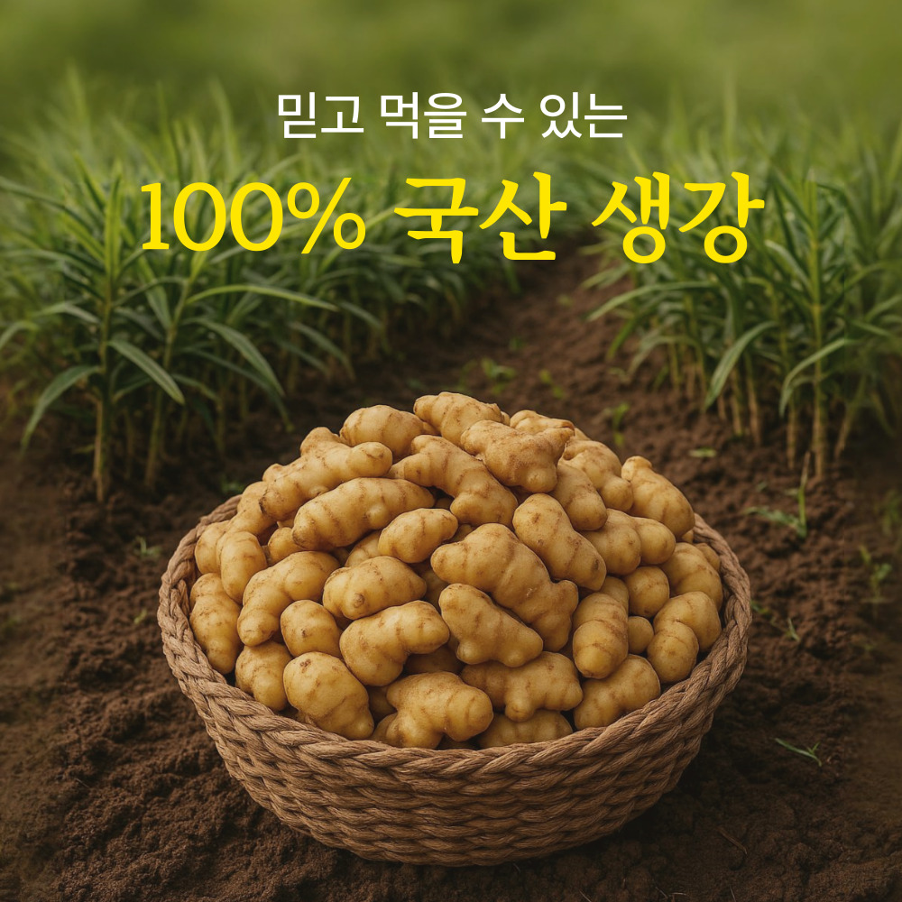 무설탕 무가당 생강청 생강차 홍강청 제로 수제 임산부 570g 이미지 6