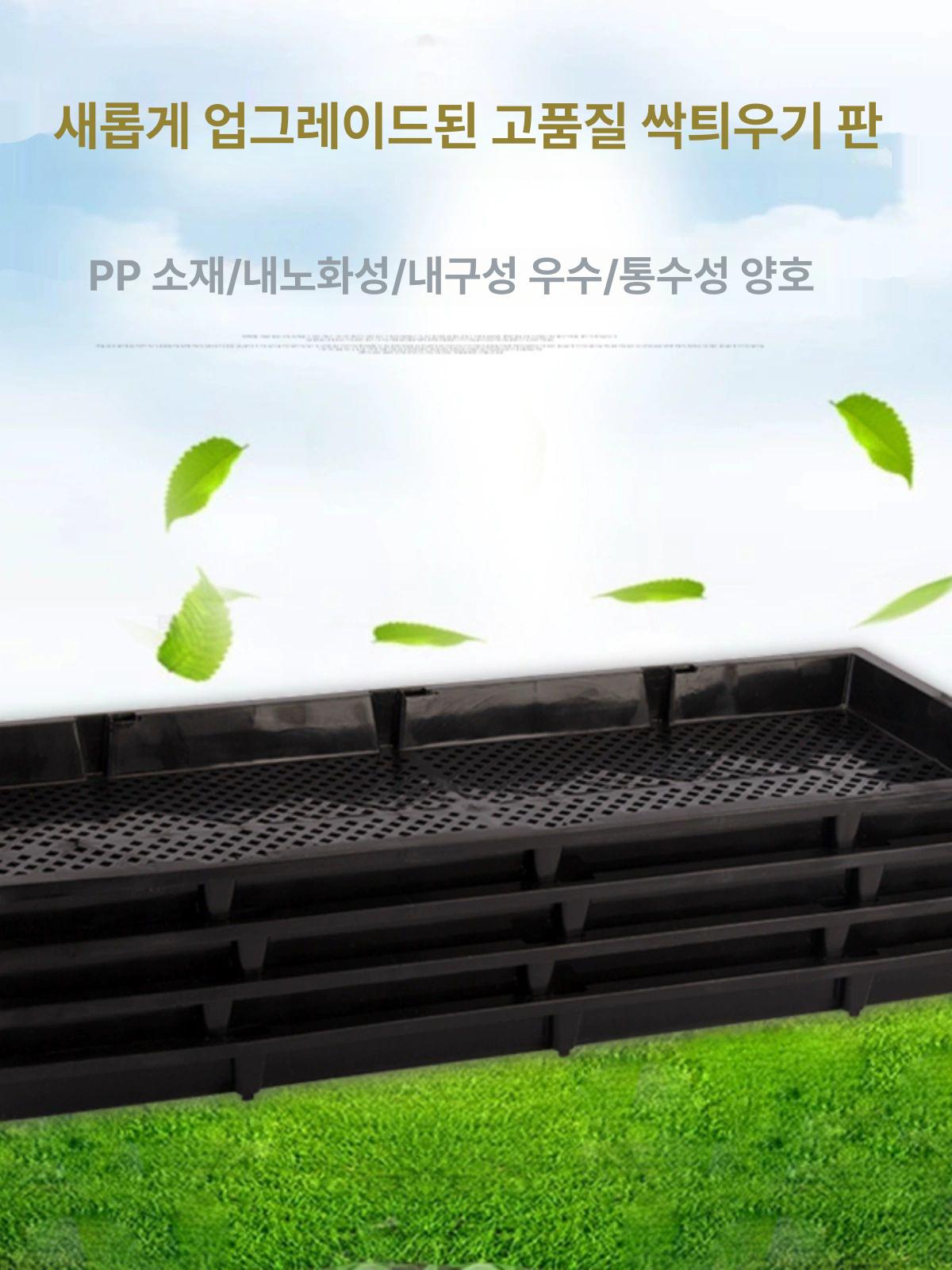 벼모판 모종판 파종 육모 씨앗 농사 농업 육묘트레이 채소키우기 비닐하우스 이앙기 접시 소형 먹그린 새싹 29.4x23.5cm - 상세 이미지 2