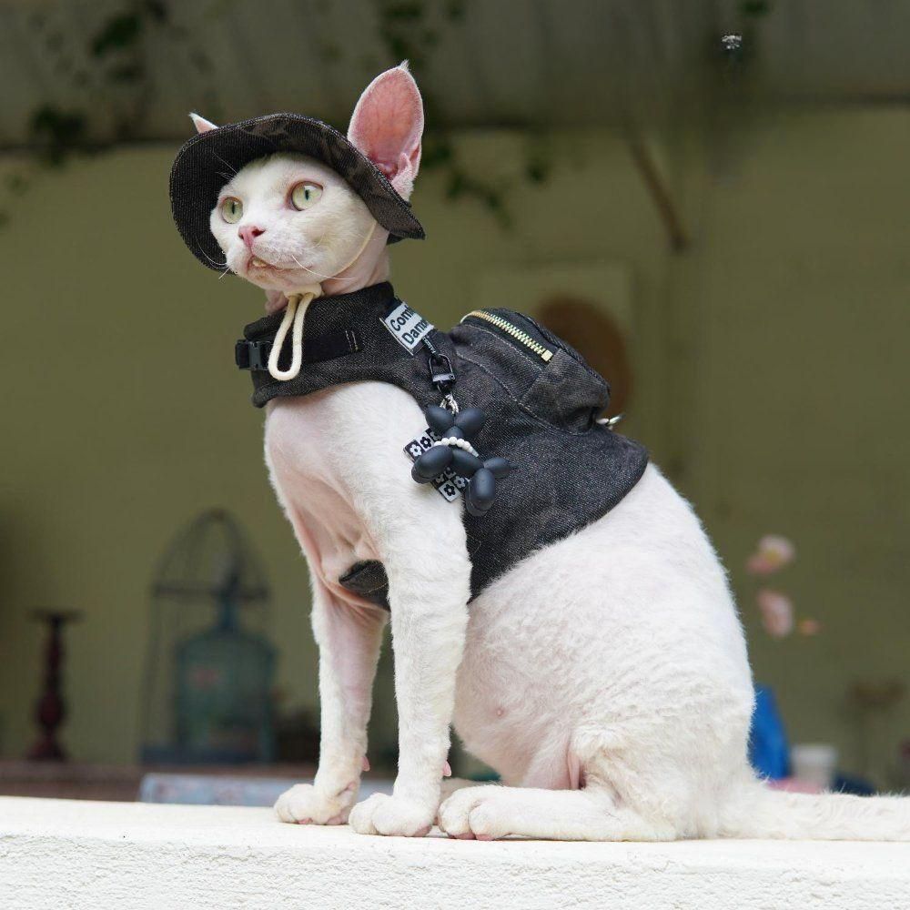 애완묘 고양이 데님 하네스 모자 목줄 세트 산책옷 하프 조끼 캠핑 산책 - 상세 이미지 2