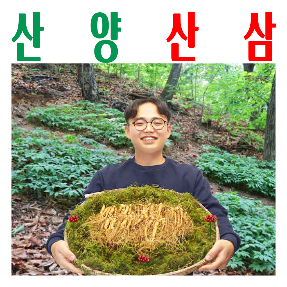 산양산삼 7-8년근 파지삼/ 산양삼/ 장뇌삼/ 건강용 60뿌리 전후/ 파삼 200g - 메인 이미지