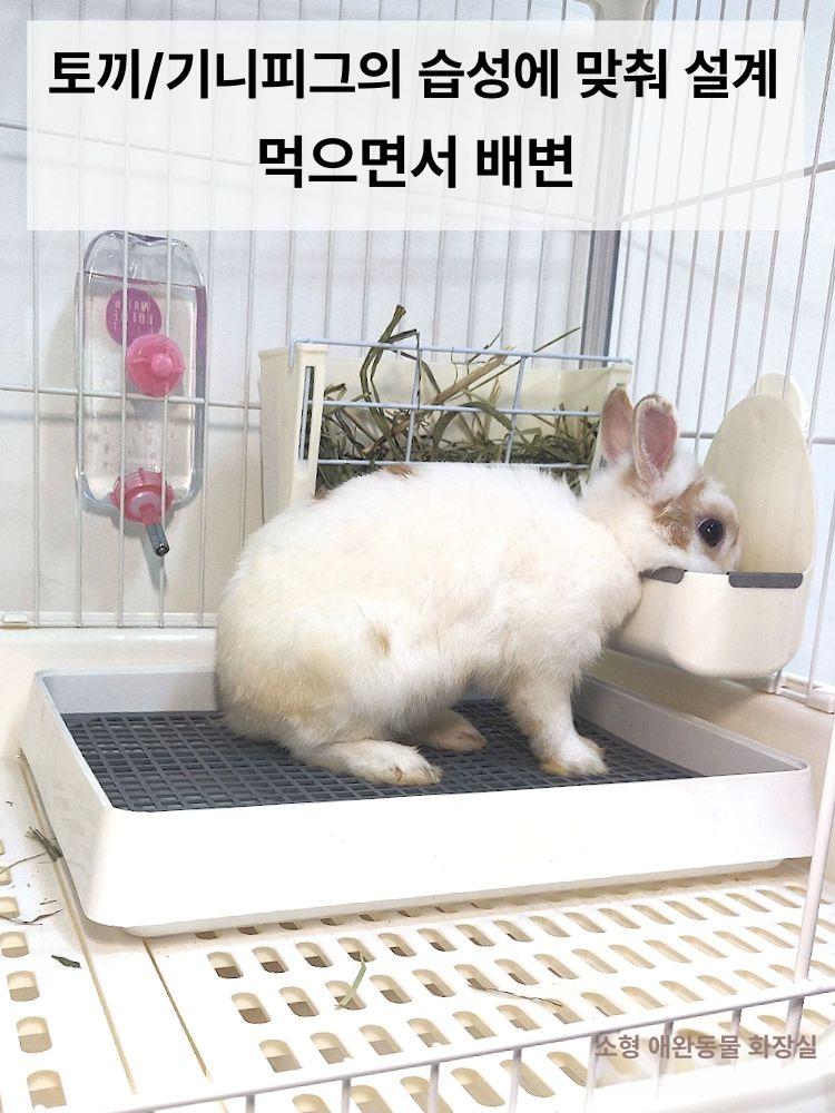 토끼화장실 토끼케이지 배변판 대형 기니피그화장실 대형 화장실 플라스틱망 매우 1x1cm - 상세 이미지 4
