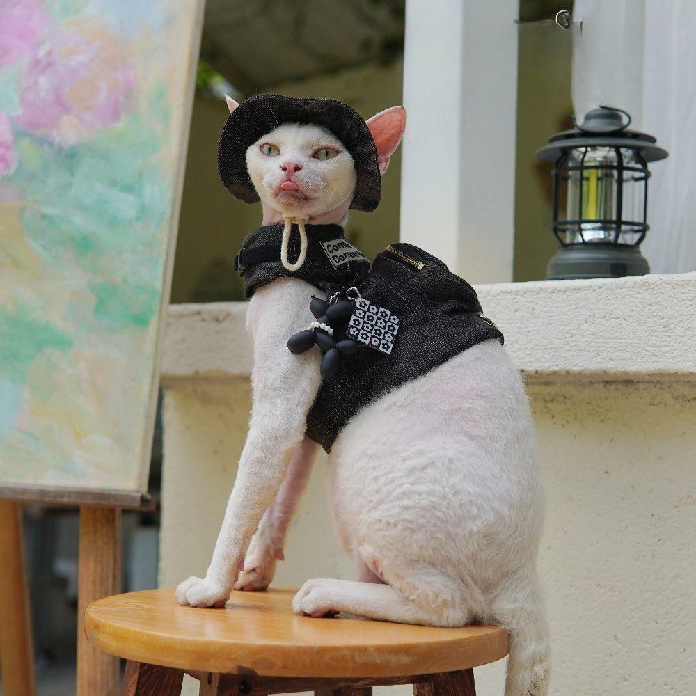 애완묘 고양이 데님 하네스 모자 목줄 세트 산책옷 하프 조끼 캠핑 산책 - 상세 이미지 3