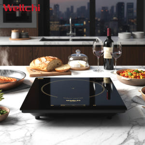 업소용인덕션 웰치 이동식 WEI-100P 1구 고화력 전기렌지 레인지 가... 개봉기 | 실사용 후기 - 상품 이미지 1