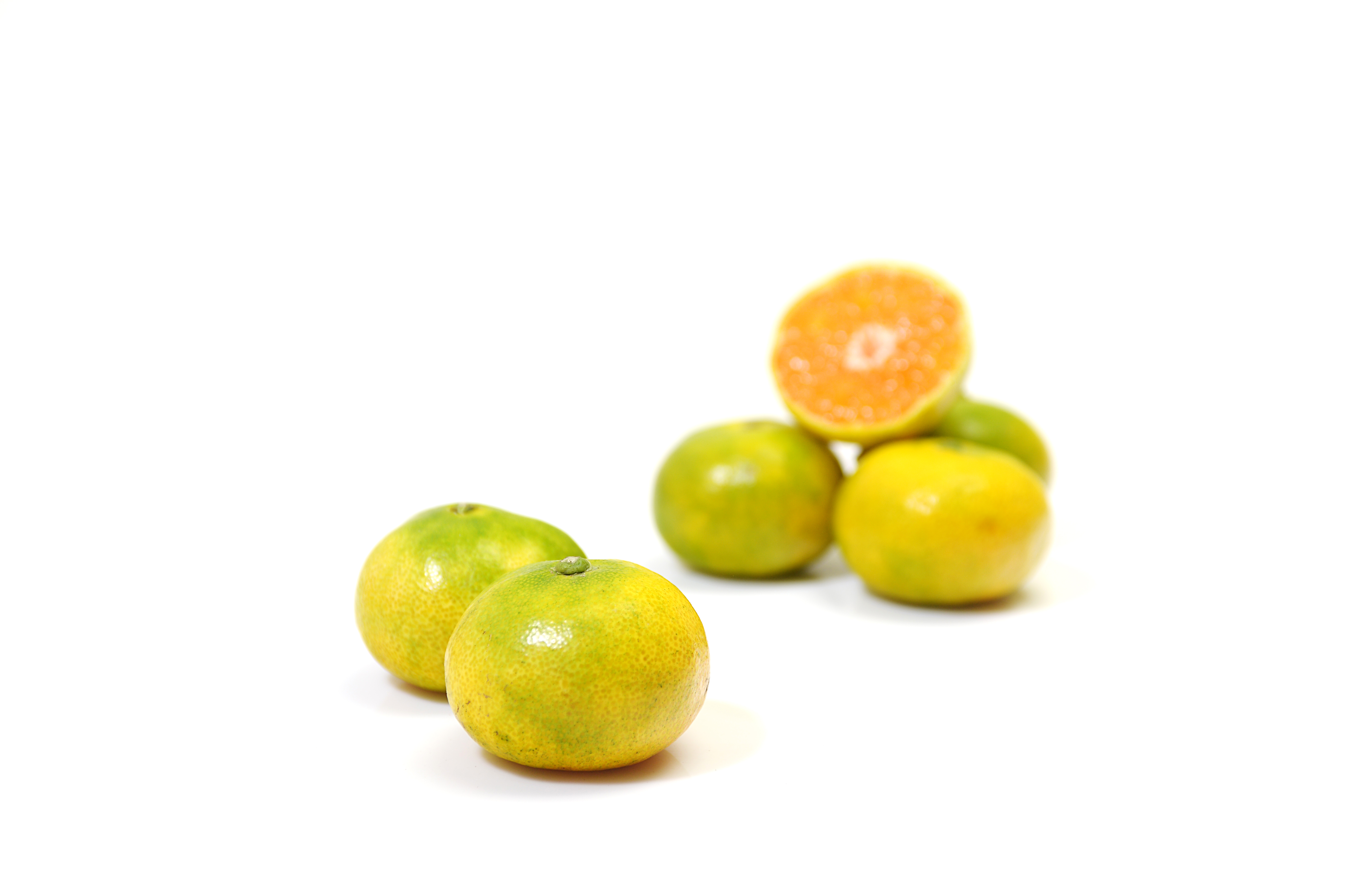 소과 제주 조생 귤 9.5Brix, 2.5kg, 1개 - 상세 이미지 2