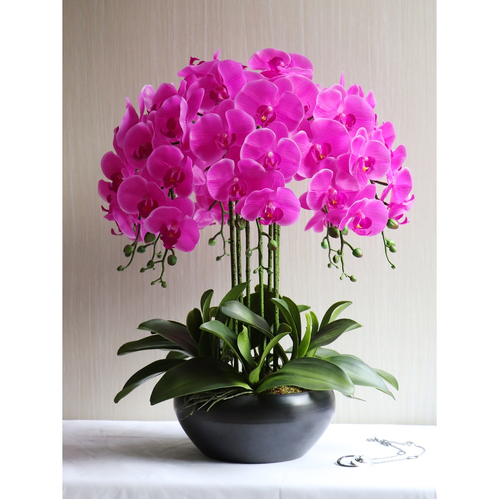 조화 화분 서양란 거실 인테리어 개업 사무실 축하 생화같은 행운 - 상품 이미지