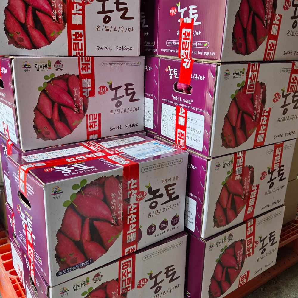 25년 최상급 황토 햇 밤고구마 익산 탑마루 밤 대, 10kg, 1개 - 상세 이미지 5