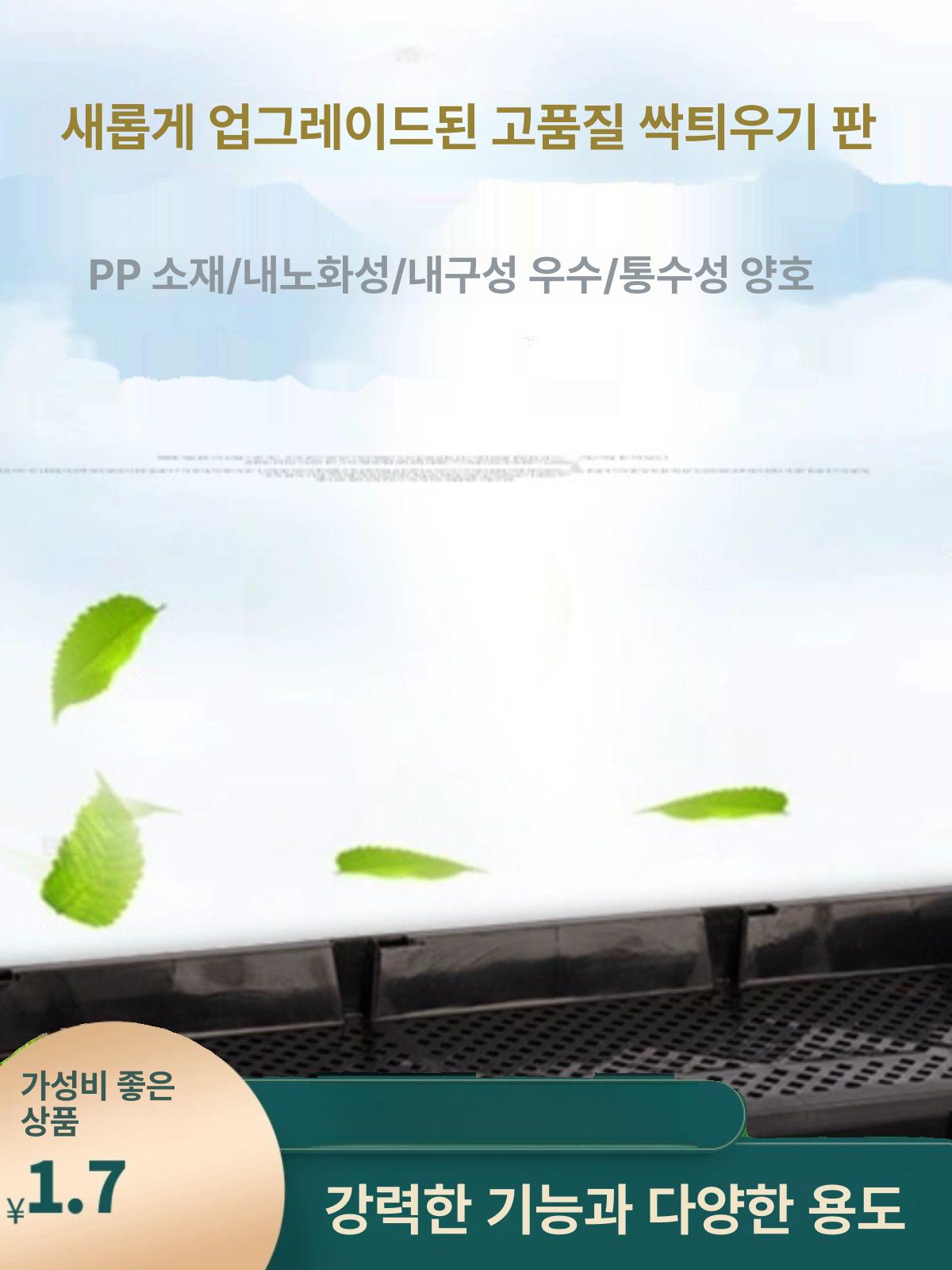 벼모판 모종판 파종 육모 씨앗 농사 농업 육묘트레이 채소키우기 비닐하우스 이앙기 접시 소형 먹그린 새싹 29.4x23.5cm - 상세 이미지 3