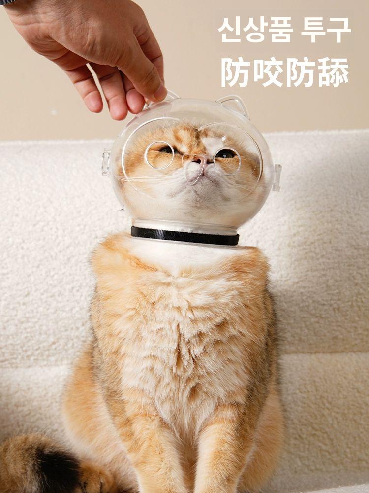 고양이 헬멧 물림방지 투명 핥기 방지 헤드기어 손톱깎기 목욕 반려묘 미용 애견 고양이 귀 우주 후드 M사이즈 클립형 - 상세 이미지 3