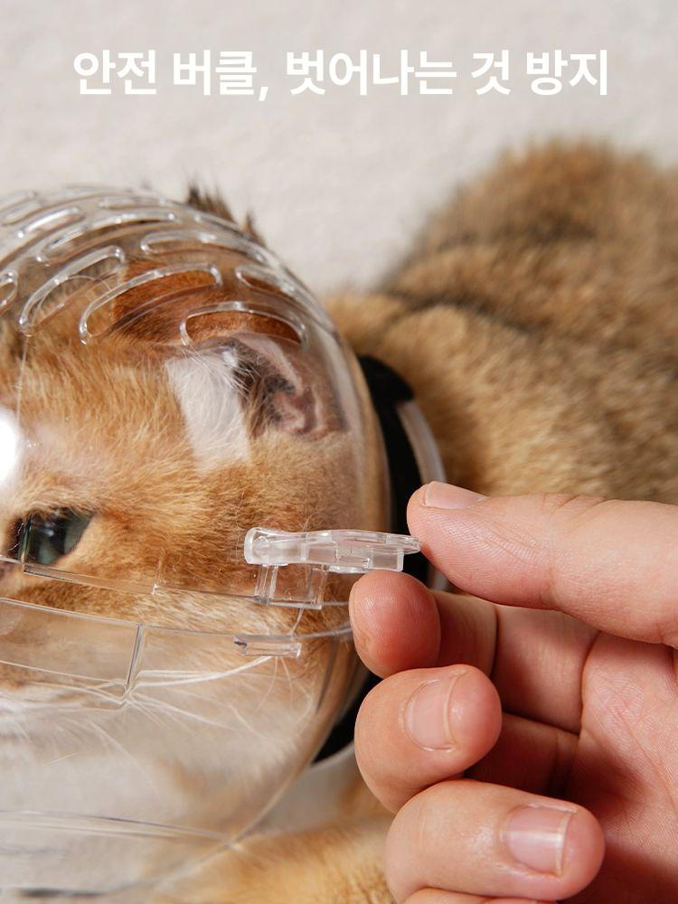고양이 헬멧 물림방지 투명 핥기 방지 헤드기어 손톱깎기 목욕 반려묘 미용 애견 고양이 귀 우주 후드 M사이즈 클립형 - 상세 이미지 4