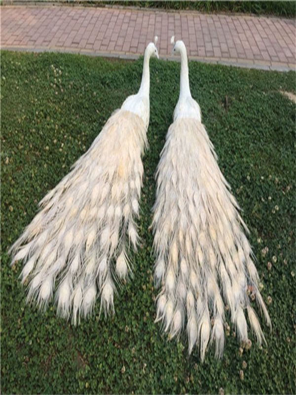 공작새 모형 정원 공작 카페 가든 조형물 인테리어 마당 공작인형 장식품 조각상 80cm 블루 - 상세 이미지 4