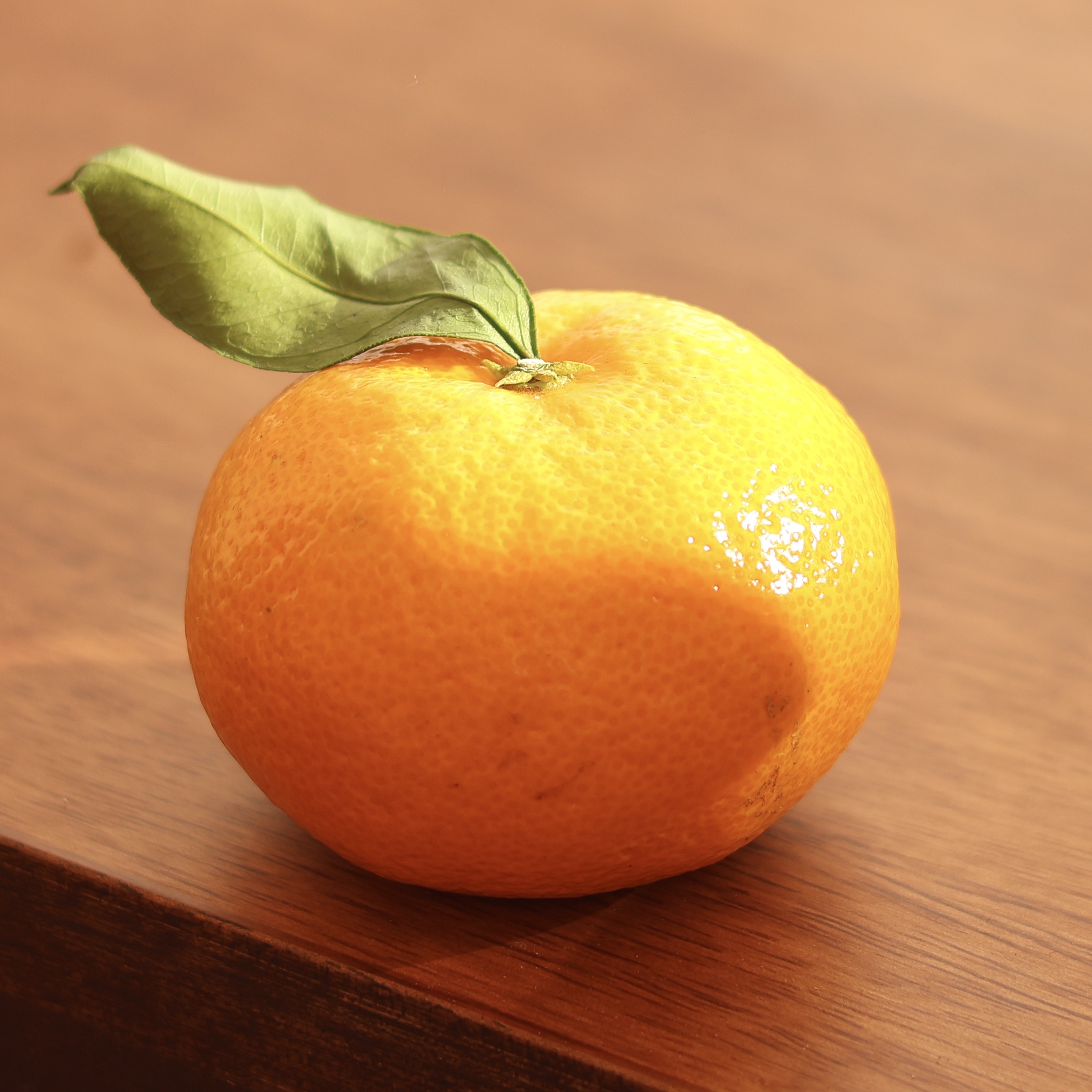 제주 감귤 카라향 하우스 귤 레드향 타이벡 황금향 밀감 가정용 선물세트