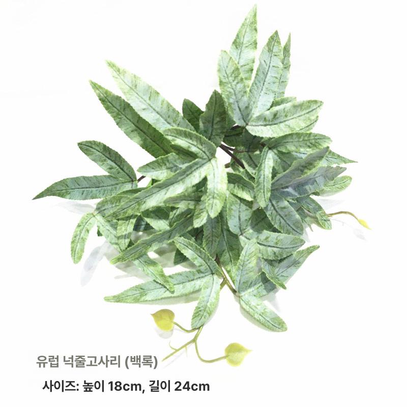 식물지지대 식물판 나무판 가드닝 필로덴드론 삽수 삽목 은안개잎 - 상세 이미지 5