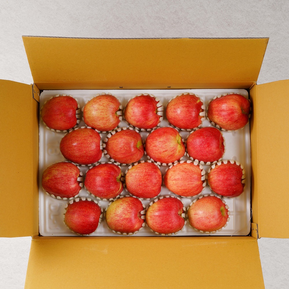 홍로 햇 사과 선물세트 중대과 특대과 추석 설 설날 명절 제수용