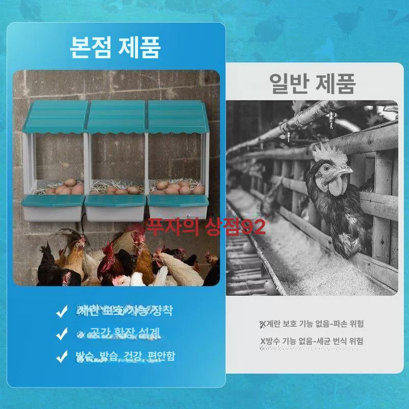 닭산란통 새보금자리 닭둥지 산란통 닭 보금자리 닭집 번식용 닭알 닭산란장 앵무새장 단일 항목 - 상세 이미지 4
