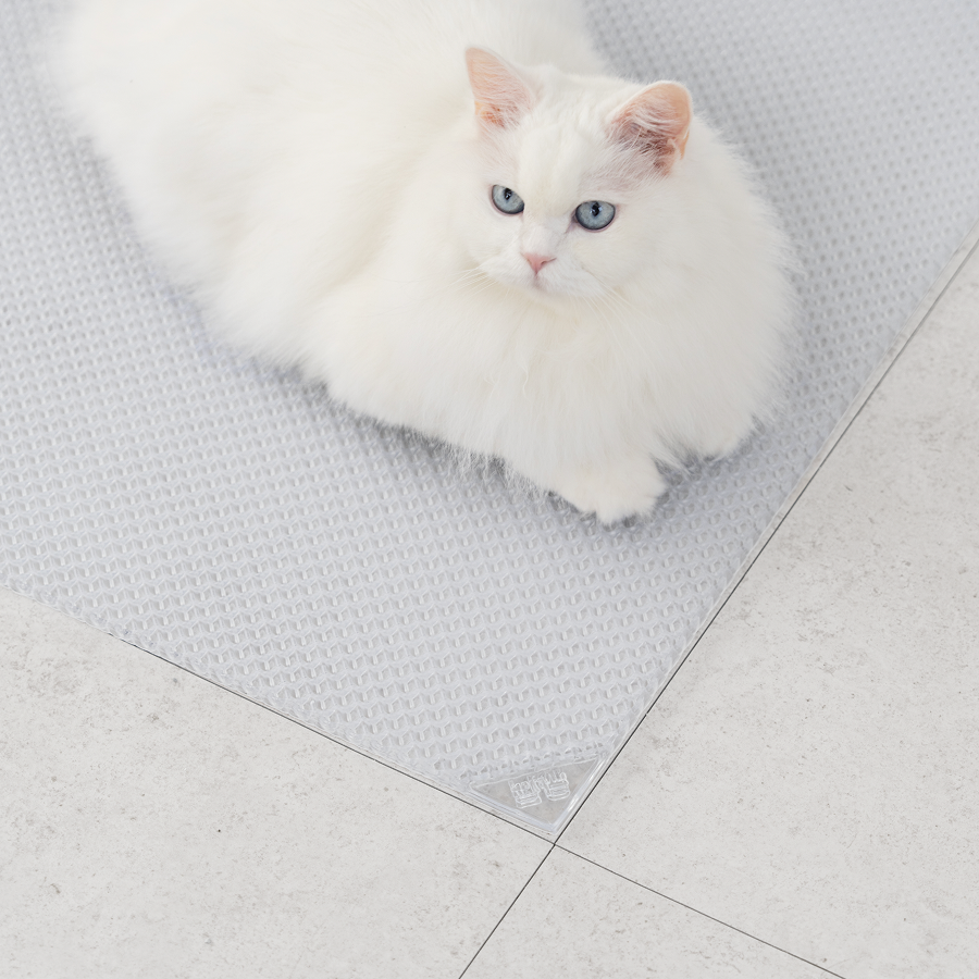 냥쌤 캐치 고양이 모래 매트 화장실 사막화방지 발판 패드 대형