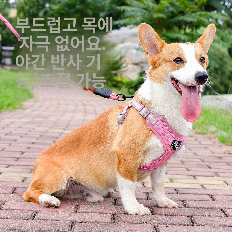웰시코기하네스 조끼형 반사줄 통풍가슴줄 두꺼운산책줄 바이브런트오렌지 1.5m반사로프포함 M 10~15kg - 상세 이미지 2