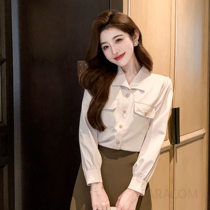 여성 쉬폰 셔츠 가을 직장인 데일리 통근용 시스루 블라우스 전문가용 스타일 상의 편안한 착용감의 모던한 디자인 - 메인 이미지