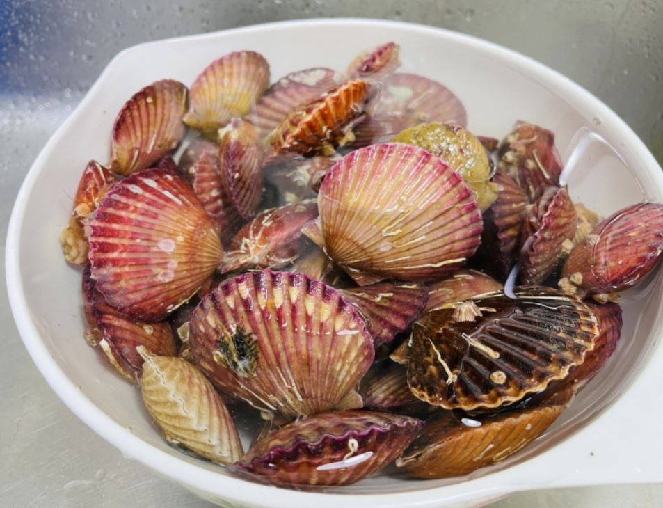 활 홍가리비 1kg 30미 내외 이성 - 상세 이미지 3