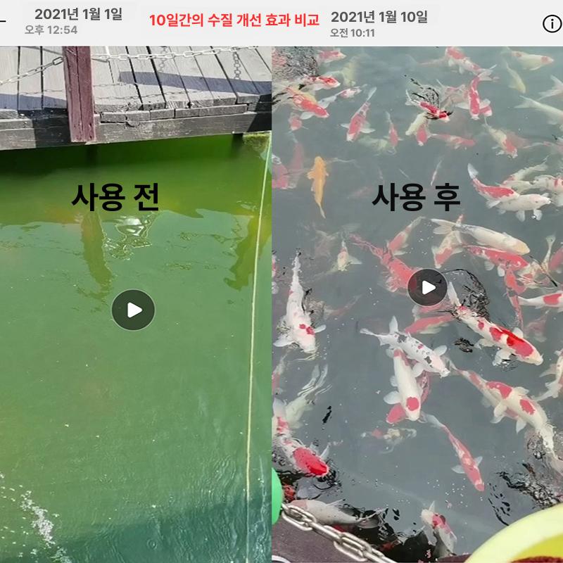 양식장 필터 회전 드럼 탱크 펄스 여과 기계 시스템 순환 10t 시간 - 상세 이미지 4