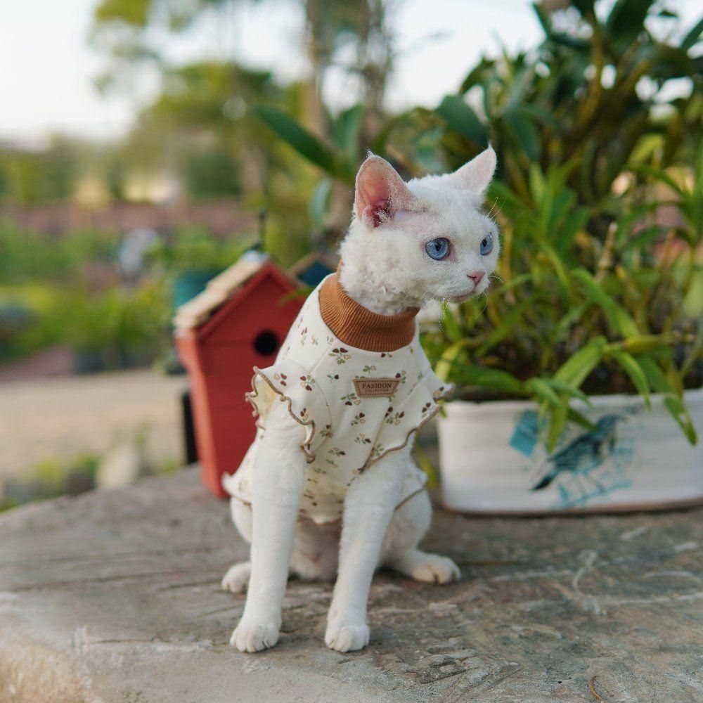 고양이 애완묘 옷 의상 사랑스러운 공주 원피스 - 상세 이미지 5