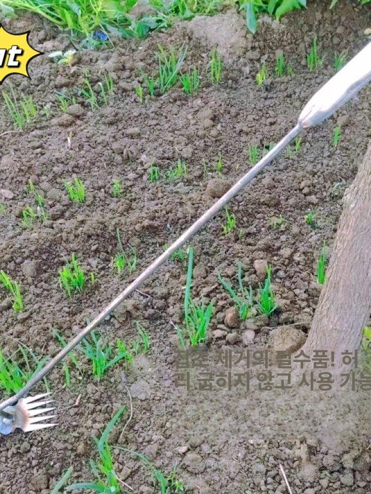 호미 괭이 편리한 서서 잡초 풀뿌리 뽑는 기계 제초 제초기 4개 철제 손잡이 - 상세 이미지 5