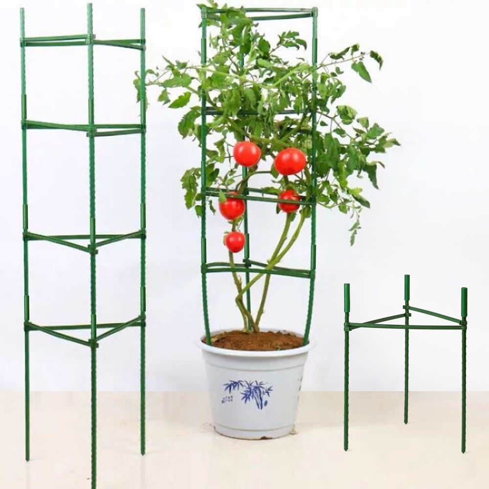 마토 삼각 식물 지지대 40cm (1set) 화초 넝쿨 지지대 - 상세 이미지 4